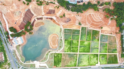 全力推进龙州湿地项目建设 龙岩市精心打造北部新城“绿色名片”
