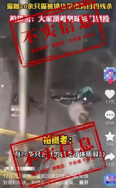 20多只猫饿到反面相处?重庆造谣：不实信息