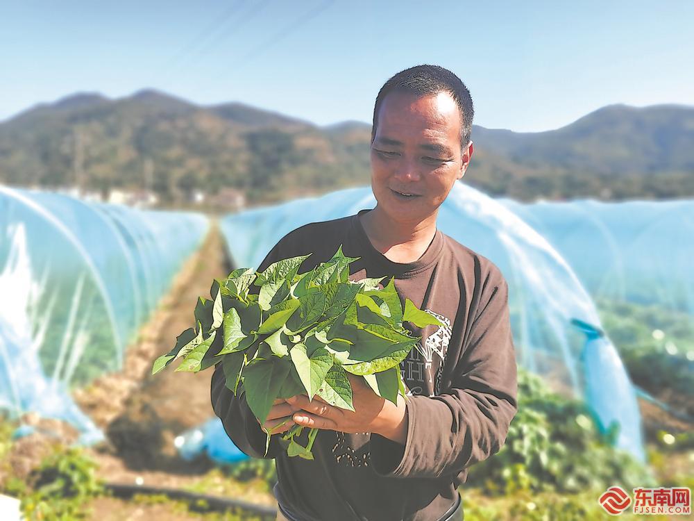 听课笔记儿童SLE诊断有价值的自身抗体检查