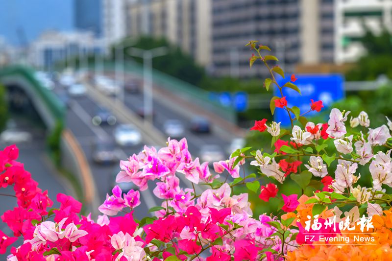全省首个无障碍主题公园即将亮相