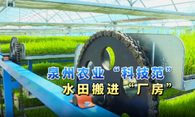 新質生產力在泉州 | 智能化種地 泉州春耕滿滿“科技范”（視頻）