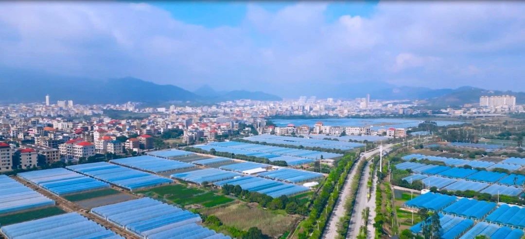 界山镇东张村：闲置地变休闲农舍 文旅产业赋能乡村振兴