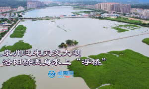 泉州迎來天文大潮，洛陽橋變身水上“浮橋”