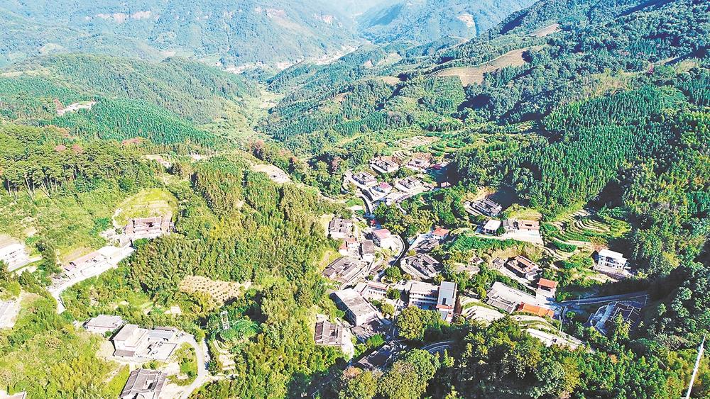 村美民富，美岭村的幸福路