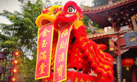 精彩演出、特色市集……泉州這個(gè)非遺游園會(huì)好熱鬧！（視頻）