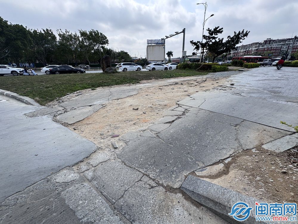 黄A无码片内射无码视频