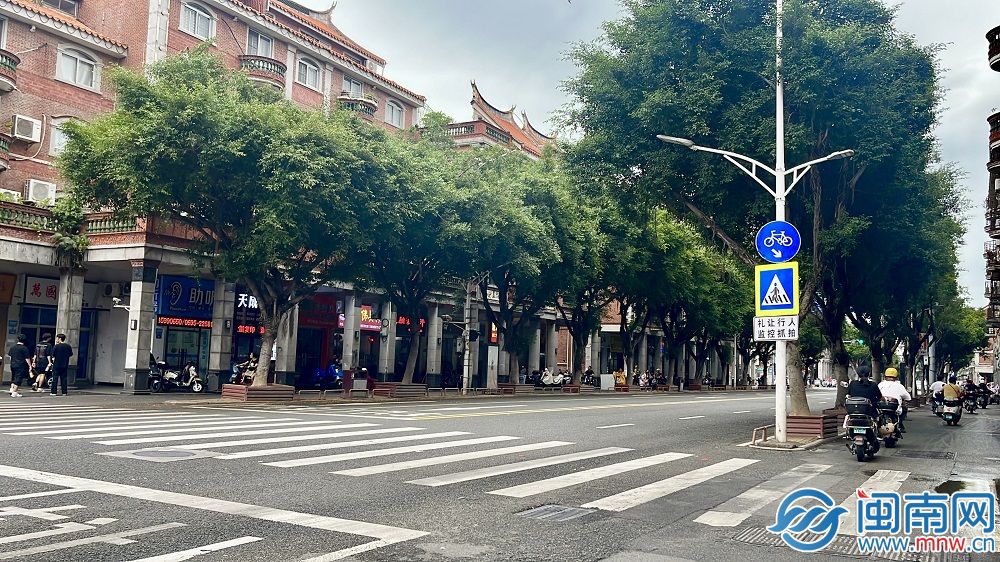 黄A无码片内射无码视频