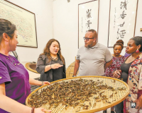 津巴布韦青年在武夷山访茶