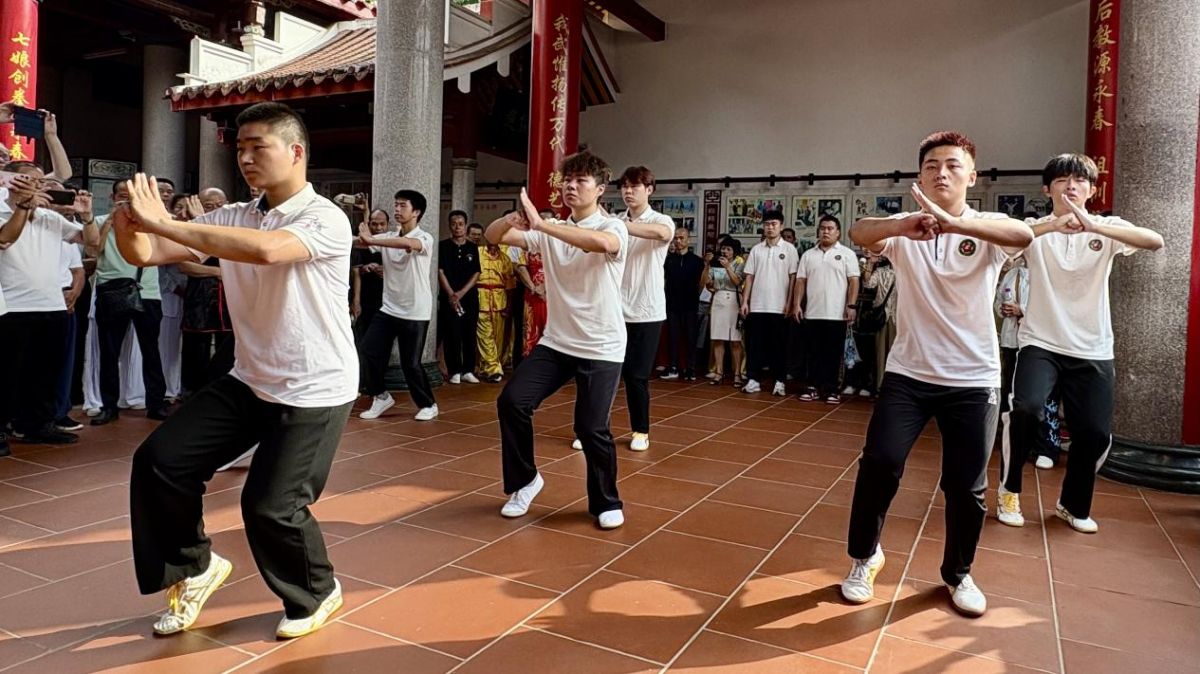 “永春白鹤拳十八式”发布 世界各地白鹤拳弟子齐聚永春