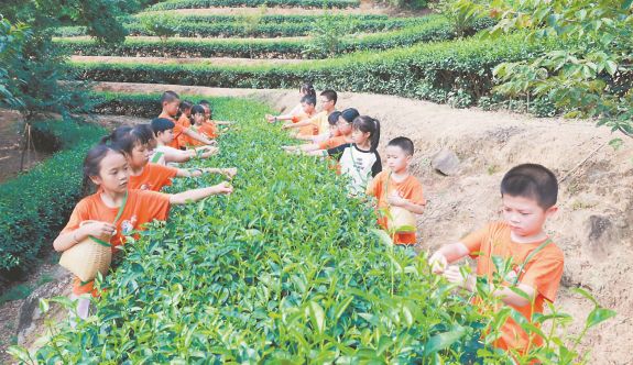 漳州：多彩夏日 娃有所“托”