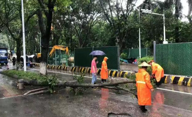 闻“汛”而动！龙文各地共抗风雨