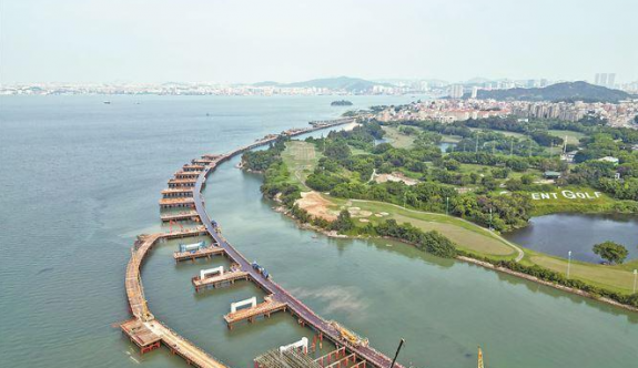 廈門：鰲冠特大橋已開始搭設(shè)主梁施工支架 進(jìn)入上部結(jié)構(gòu)施工階段
