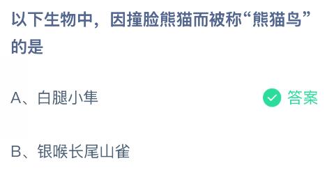 以下生物中因撞臉熊貓而被稱“熊貓鳥”的是什么鳥？螞蟻莊園課堂今天答案最新7月24日