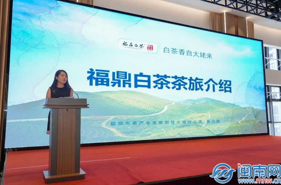 QQ截圖20250730192148