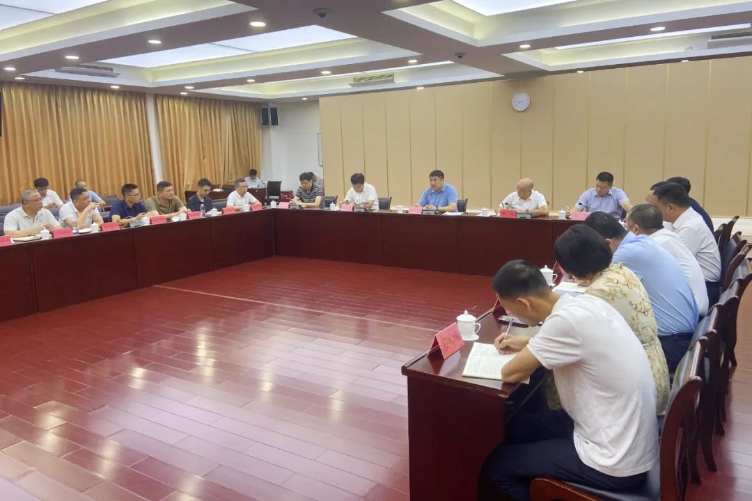 龙文区政府专题会召开