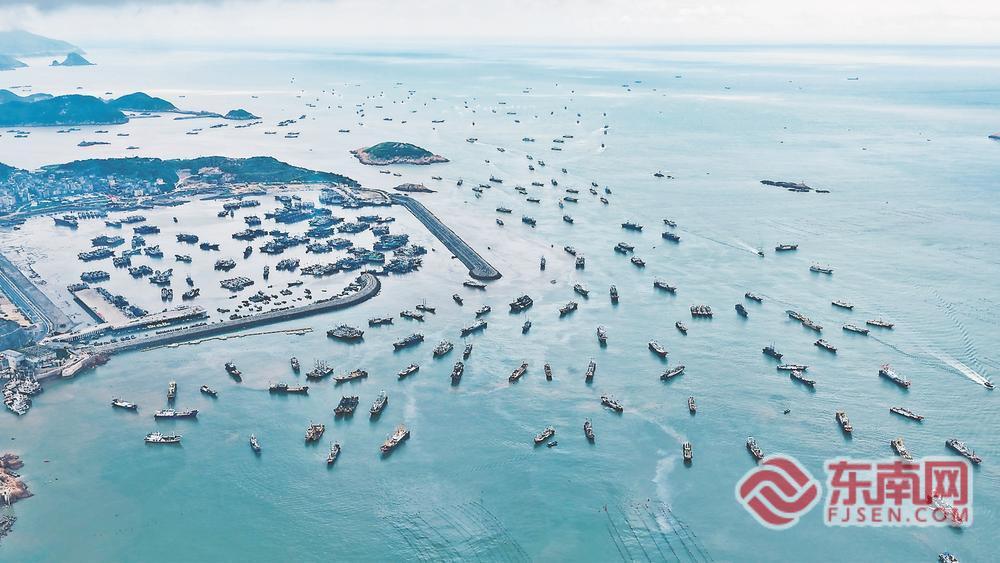霞浦迎来“小开渔”