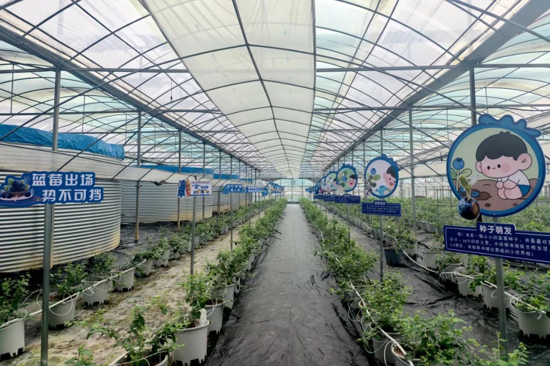 640 (1)