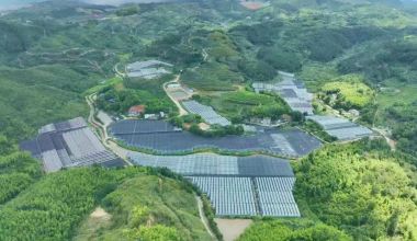 德化三班鎮(zhèn)：閑置資產“活”起來 共同富?！芭堋逼饋?>
                        </a>
                        <p class=