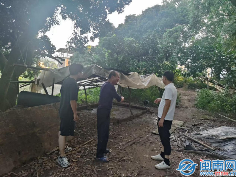 平和大溪：智慧“解铃”促和谐 一山一水焕新颜