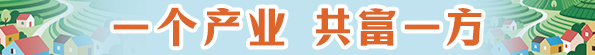 一个产业 共富一方
