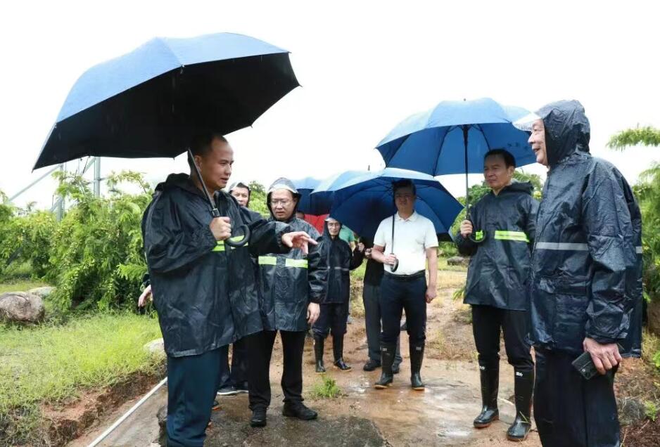 筑防线、聚合力、稳民生 漳浦市县领导一线督导灾后恢复工作