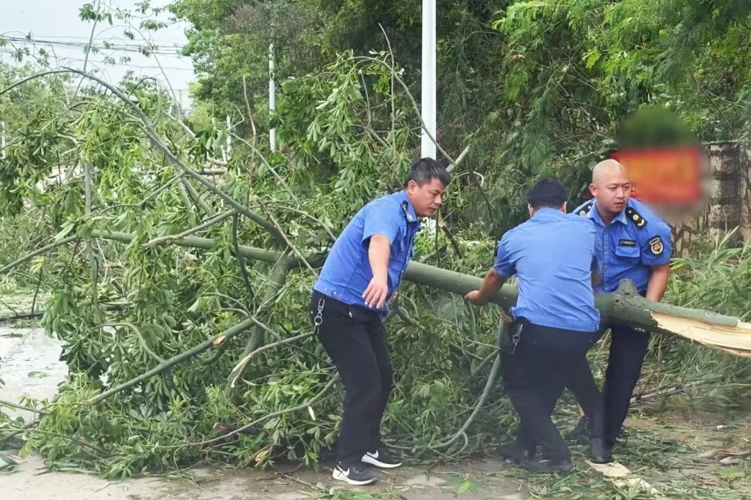 深土镇灾后恢复2_副本.jpg