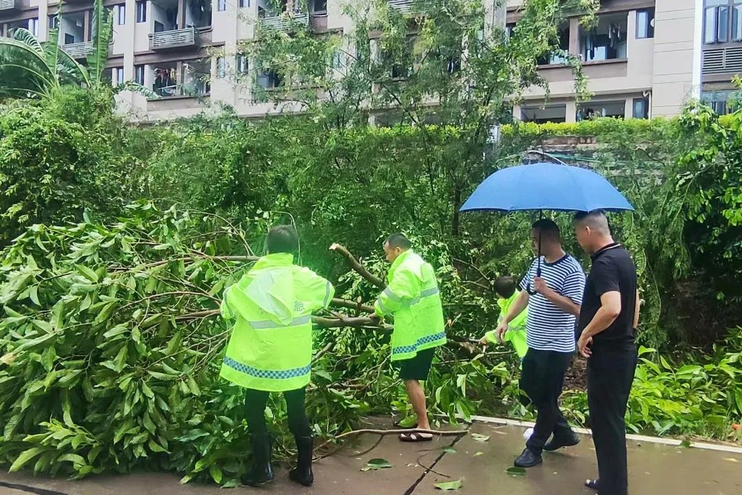 长桥镇 灾后人居1_副本.jpg