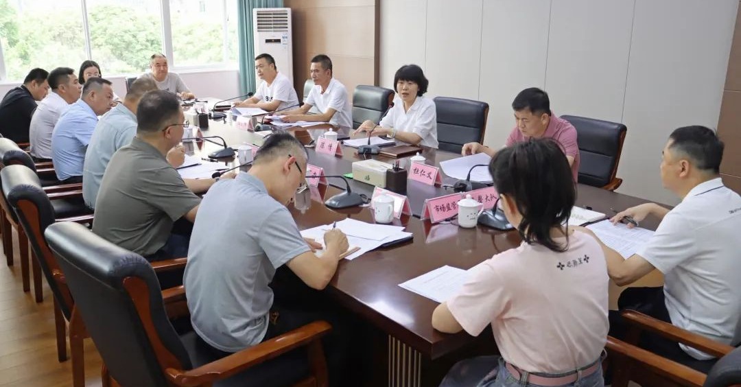 洛江专题调度桥南片区招商项目、业态审核等工作