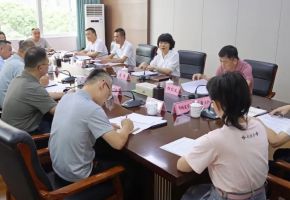 洛江專題調(diào)度橋南片區(qū)招商項(xiàng)目、業(yè)態(tài)審核等工作