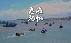 【視頻】惠安開(kāi)漁啦!