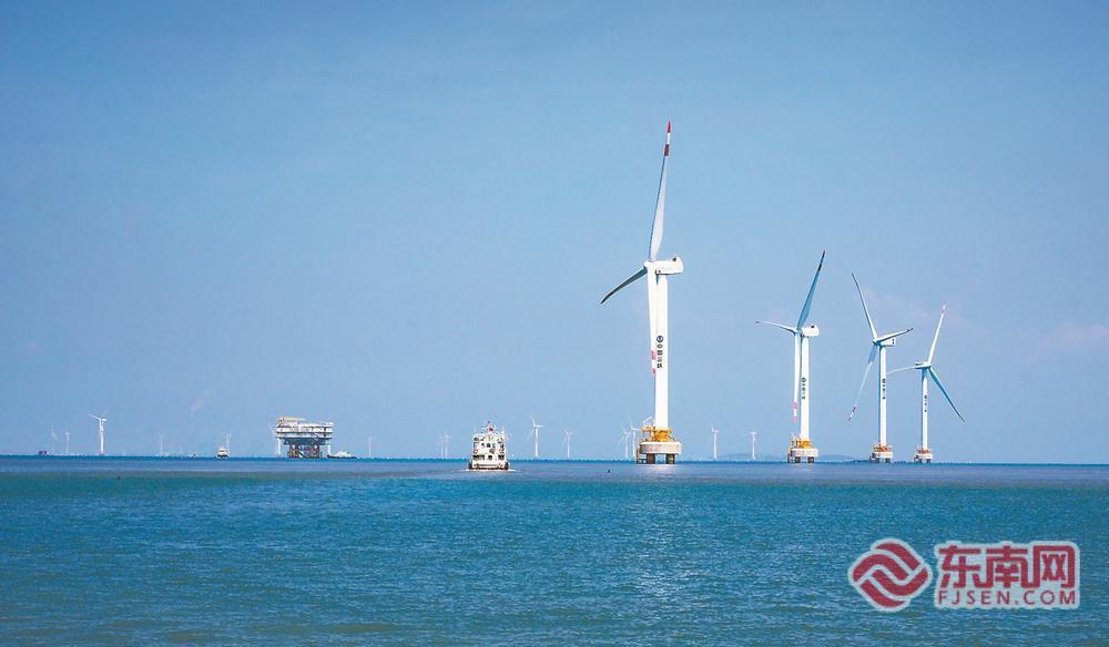 做好“海”的文章——福建推动海洋经济高质量发展观察(下)