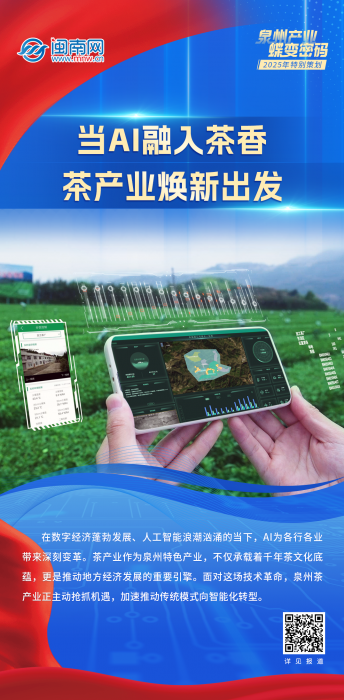 海报丨泉州产业蝶变密码：当AI融入茶香 茶产业焕新出发