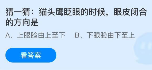 貓頭鷹眨眼的時候眼皮閉合的方向是什么？螞蟻莊園課堂今天答案最新8月25日