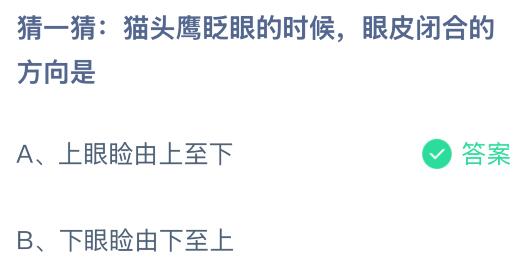 貓頭鷹眨眼的時候眼皮閉合的方向是什么？螞蟻莊園課堂今天答案最新8月25日