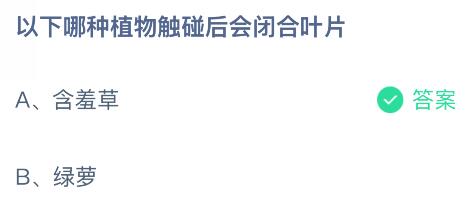 以下哪种植物触碰后会闭合叶片？蚂蚁庄园今日答案最新8.27