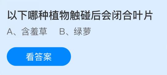 以下哪种植物触碰后会闭合叶片？蚂蚁庄园今日答案最新8.27