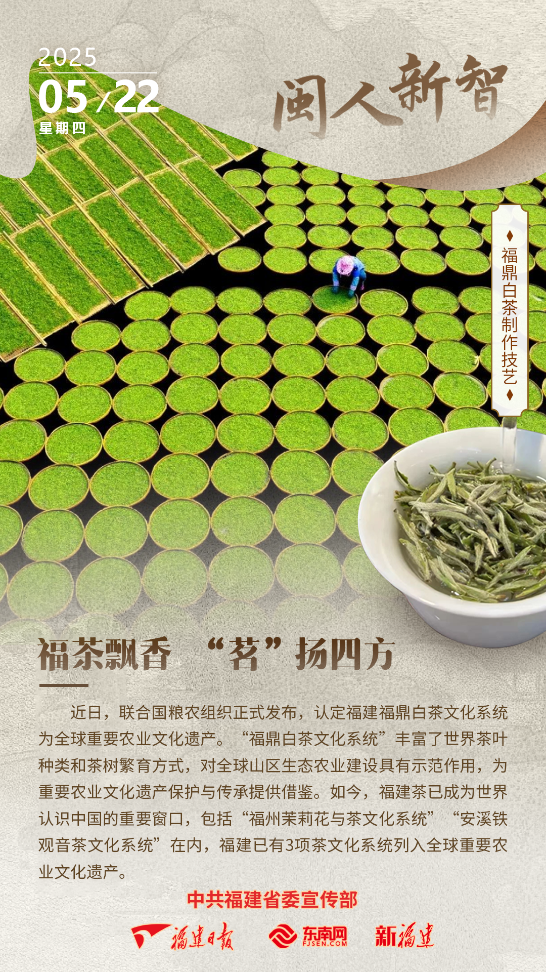 闽人智慧丨福茶飘香 “茗”扬四方