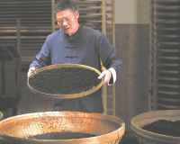 福安：俏销新红茶 氤氲花果香