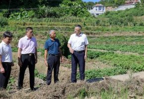 吳毓舟帶隊(duì)到蓬萊鎮(zhèn)調(diào)研