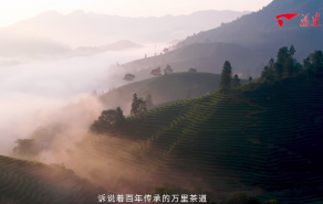 “何以中国·茶和天下”万里茶道九省（区）直播活动