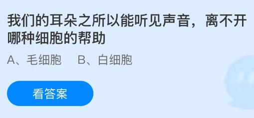 我们的耳朵之所以能听见声音，离不开哪种细胞的帮助？蚂蚁庄园今日答案最新9.3