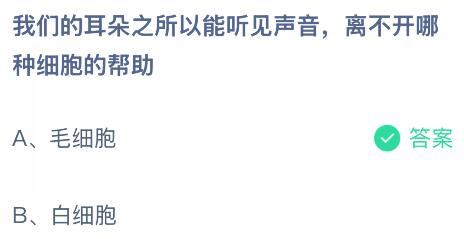 我们的耳朵之所以能听见声音，离不开哪种细胞的帮助？蚂蚁庄园今日答案最新9.3