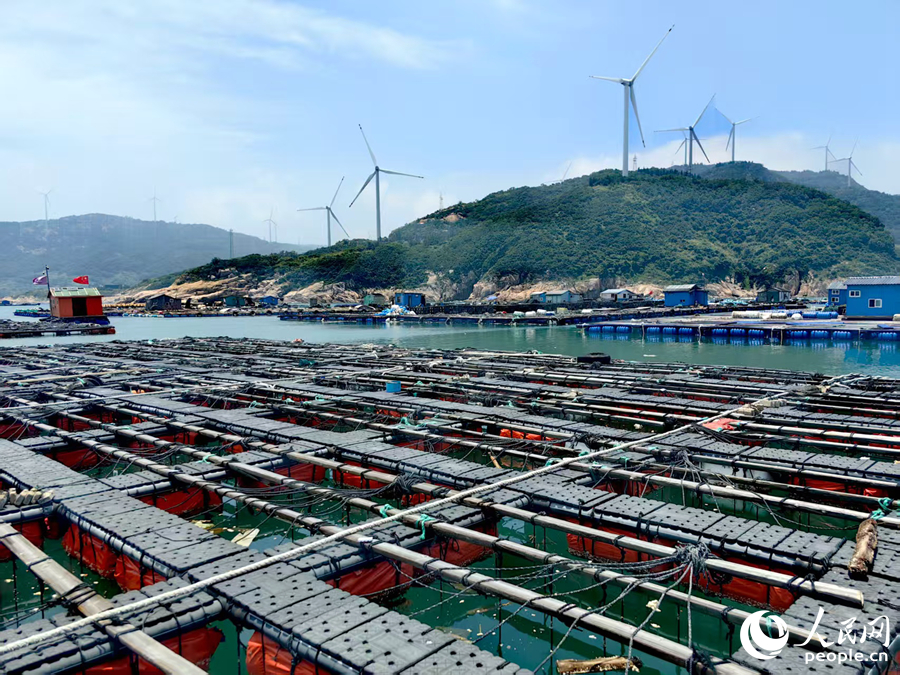 人民网关注福州：南鲍北养，丰盈“蓝色粮仓”