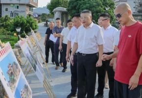 吴毓舟带队到金谷镇调研