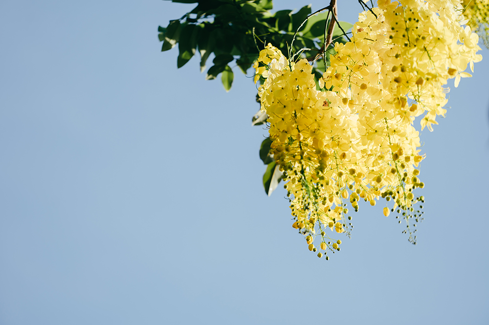 最新教师节祝福语简短 祝老师教师节快乐祝福文案 