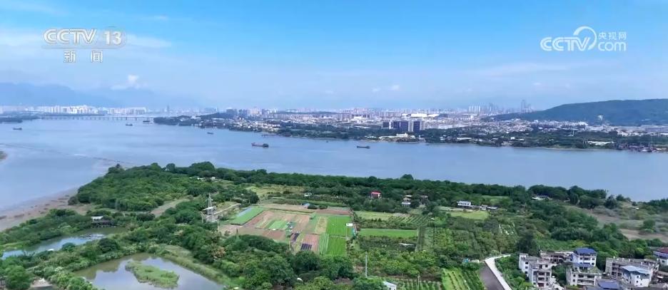 央视关注福州闽侯：白露食龙眼 丰富口感花样多