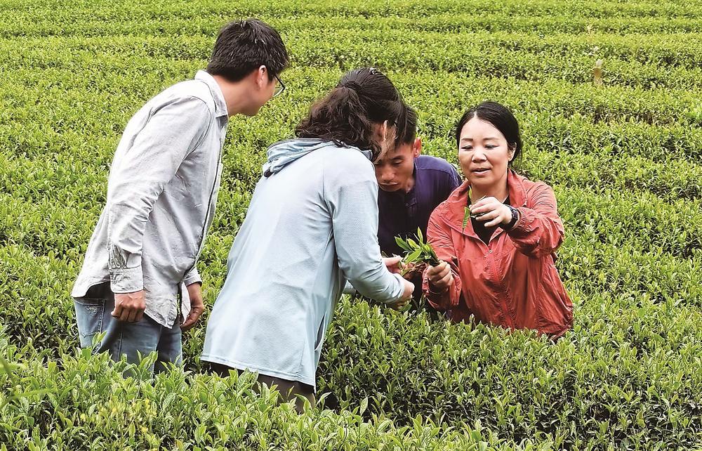躬耕八闽育英才 协同创新启新程——福建教师弘扬践行教育家精神书写教育强省时代答卷