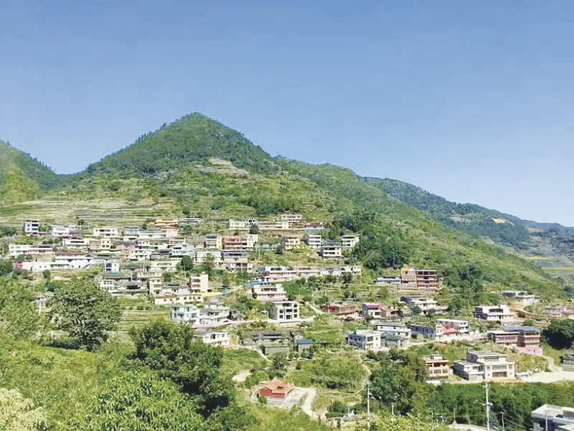 西安寻茶小组钟情“石山韵” 驻村直播助力好茶绽放新活力