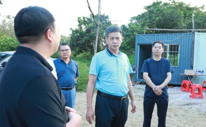 云霄县县长调研种养加一体化现代农业产业园