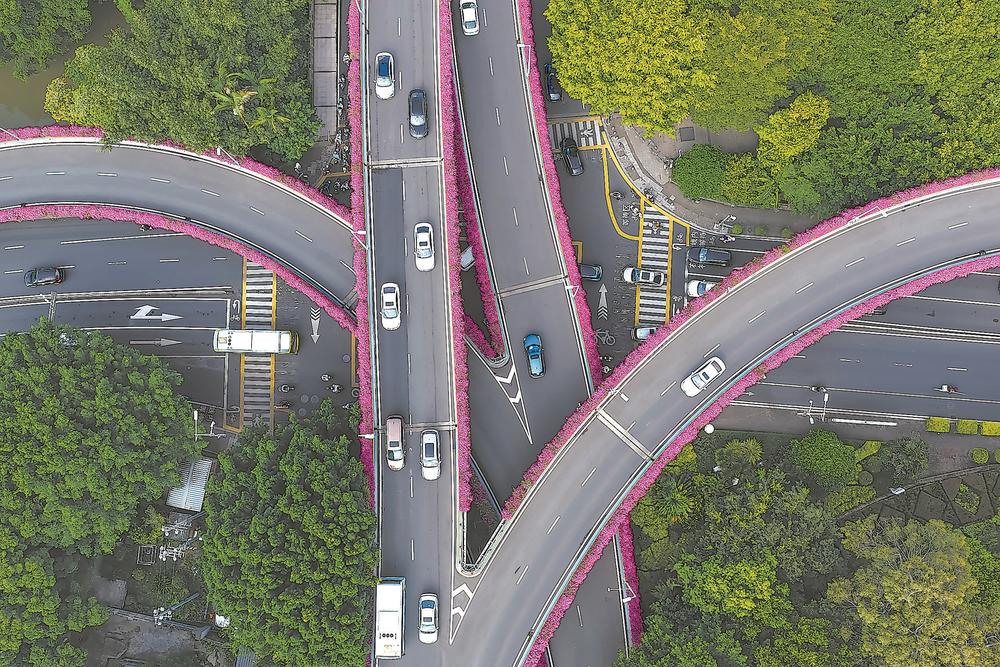 一路繁花